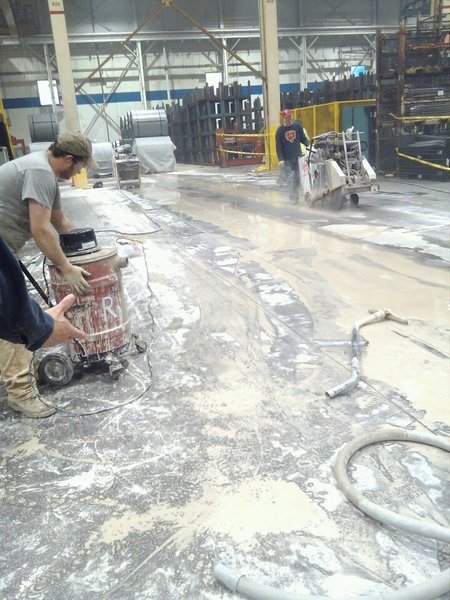 Dana Plant Project.jpg